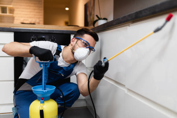 Best Cockroach Control Services  in Meyersdale, PA