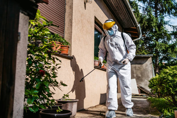 Best Affordable Pest Control Services  in Meyersdale, PA
