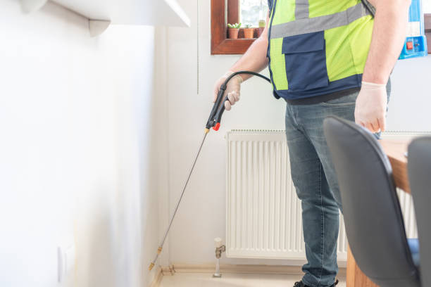 Best Pest Control Near Me  in Meyersdale, PA