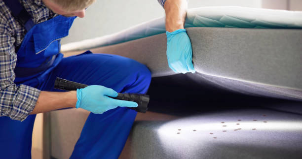 Best Pest Prevention Services  in Meyersdale, PA