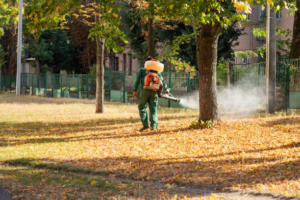 Best Wildlife Control Services  in Meyersdale, PA