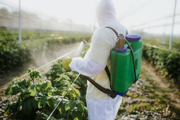 Best Pest Control Near Me  in Meyersdale, PA